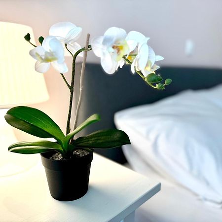 Sun Beach Apartment Ανάβυσσος Εξωτερικό φωτογραφία