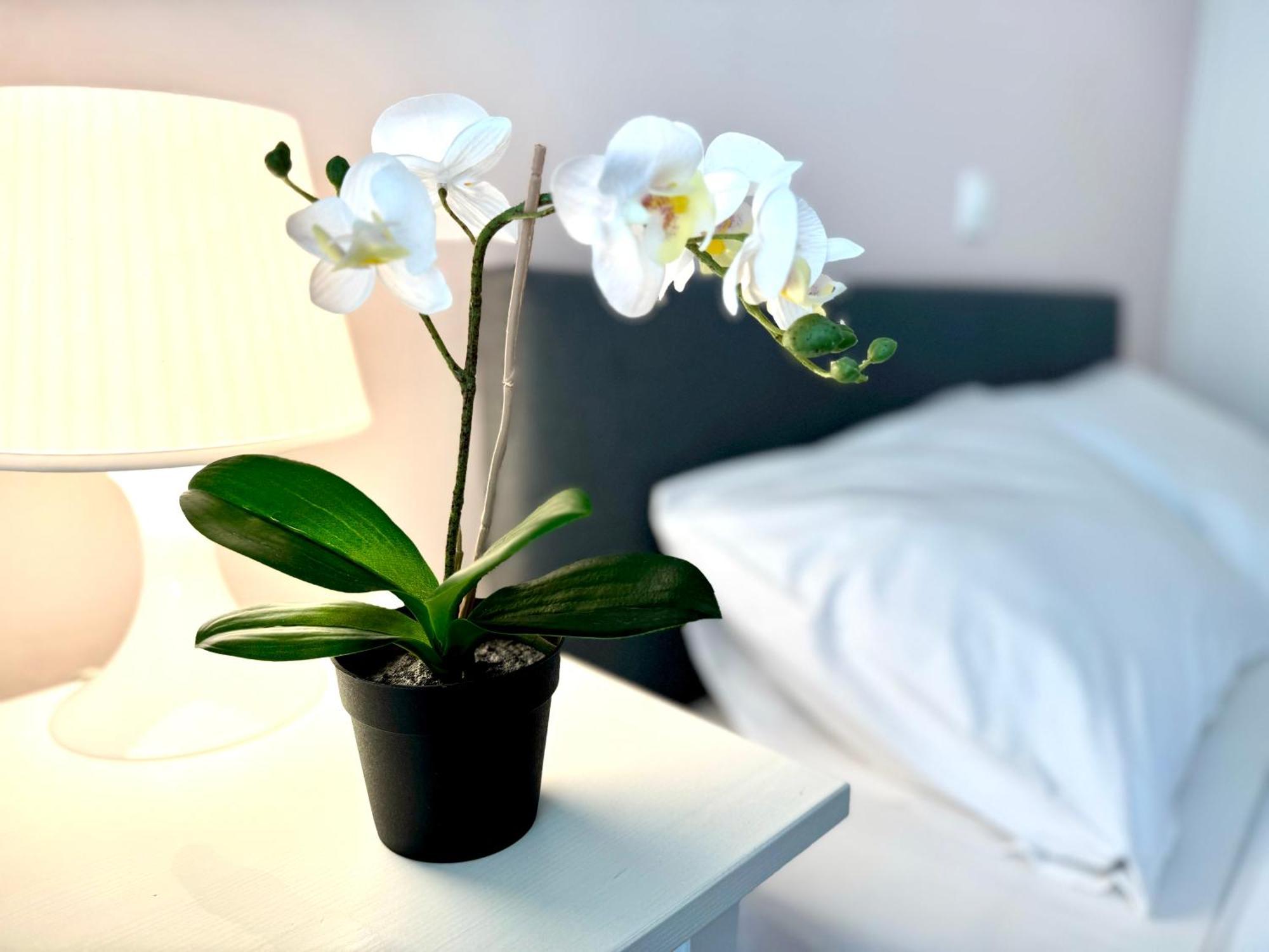 Sun Beach Apartment Ανάβυσσος Εξωτερικό φωτογραφία
